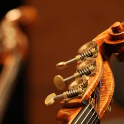 Imagebild Kontrabass